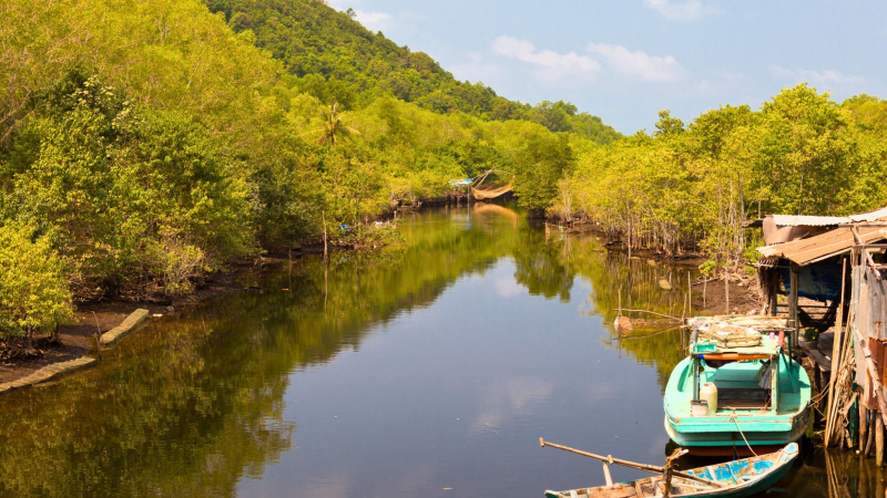 Cua Can River Is A Long River That Running Through Phu Quoc's Primeval Forest