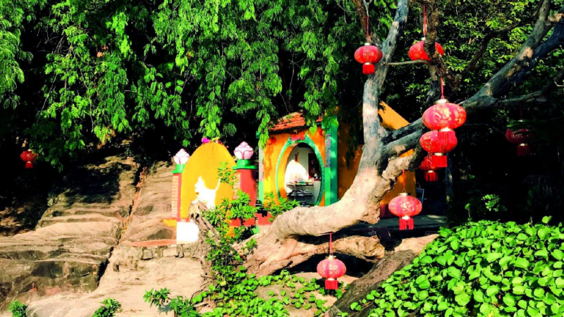 Discover Phu Quoc's Hidden Fairy Well