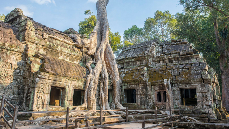 Ta Prohm The Intersection Between Culture And Nature