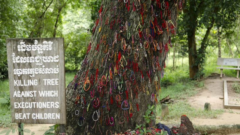 The Killing Tree In Choeung Ek