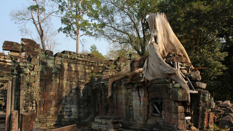 Day 3 Make A Journey To Preah Khan, An Off The Beaten Path Temple