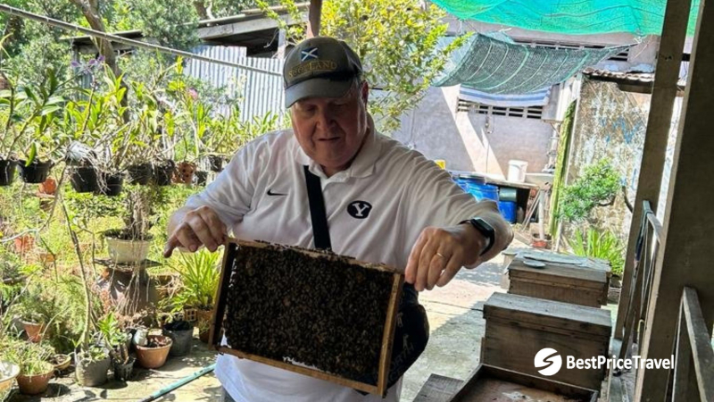 Visit Traditional Bee Farm In Mekong Delta
