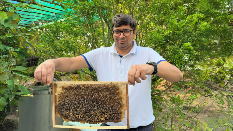 Get To Know More About Bee World