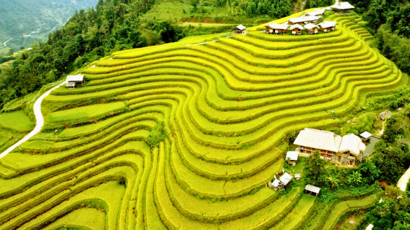 Day 2 Unique Rice Terraced Fields In Nam Hong