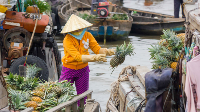 Day 17 Witness The Daily Activities In Cai Rang Floating Market