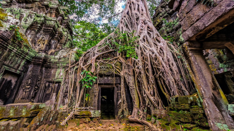 The Ta Prohm Temple Is Worldwide Known Through A Tomb Raider Movie