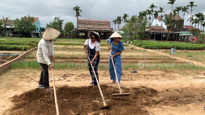 Day 6 Act As A Farmer In Cam Thanh Village