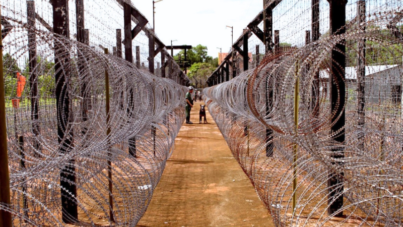 The Barbed Wire Fence Is Densely Packed At The Prison