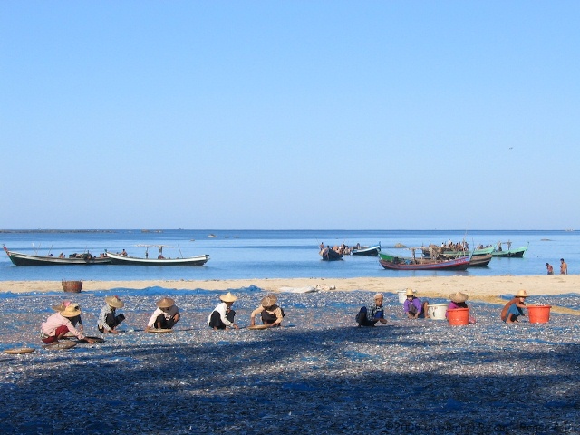 Ngapali Fishermen