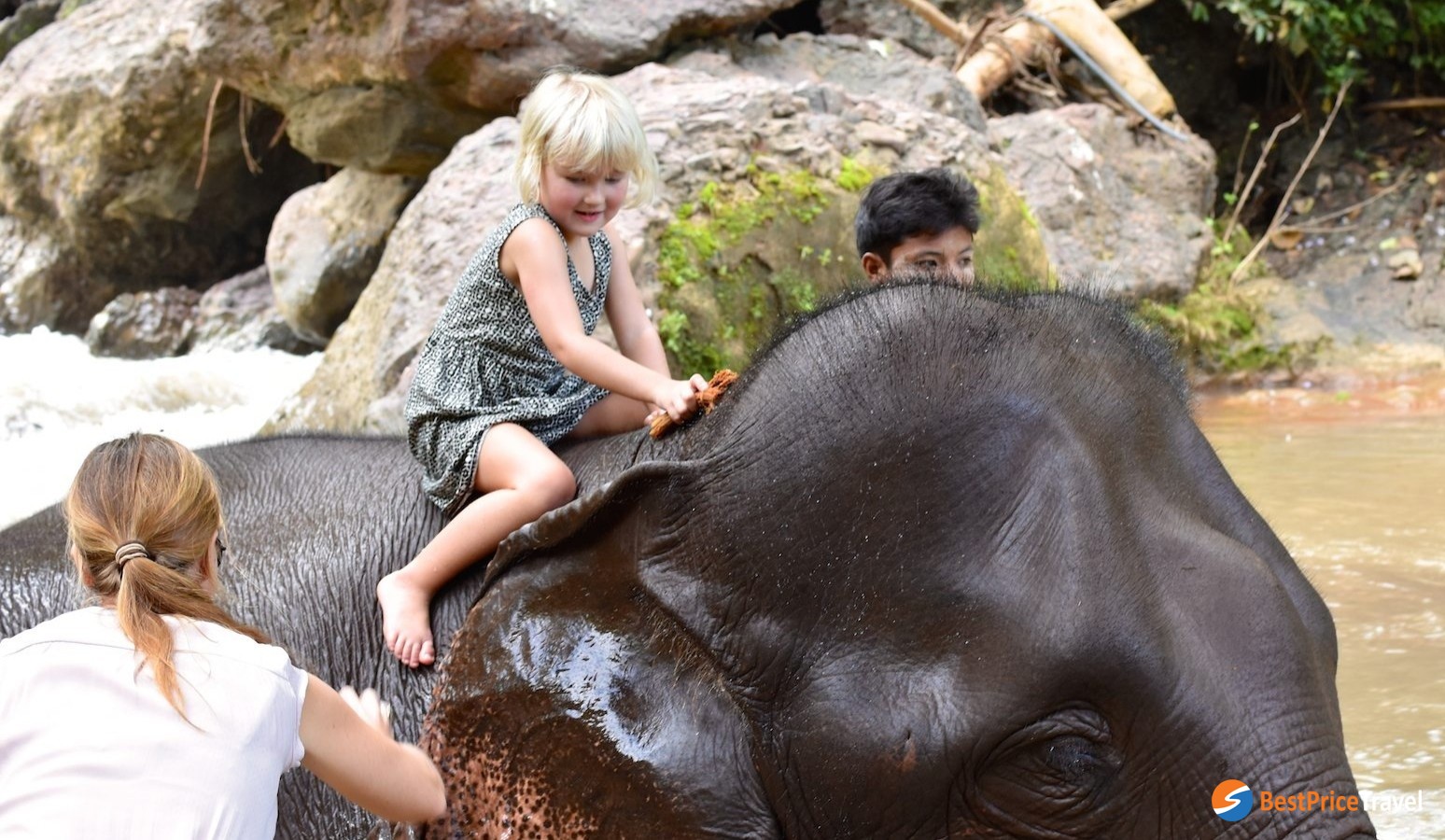 Washing For Elephant