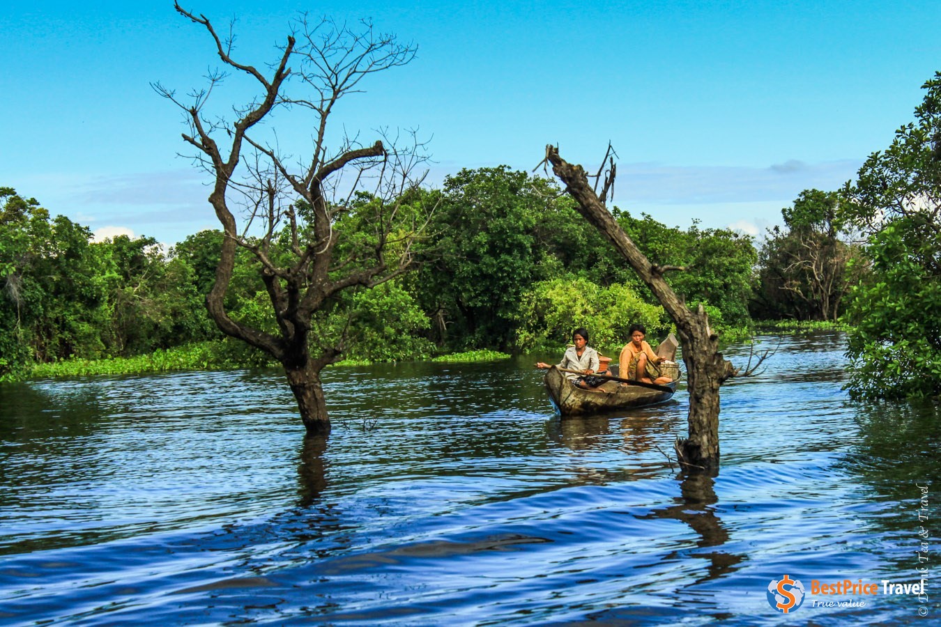 Locals Navigate Through The Mangroves In Kampong Phluk Village