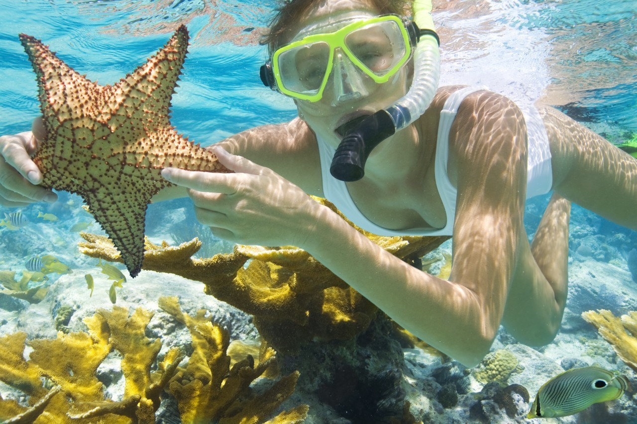 Experience Snorkeling In Nha Trang