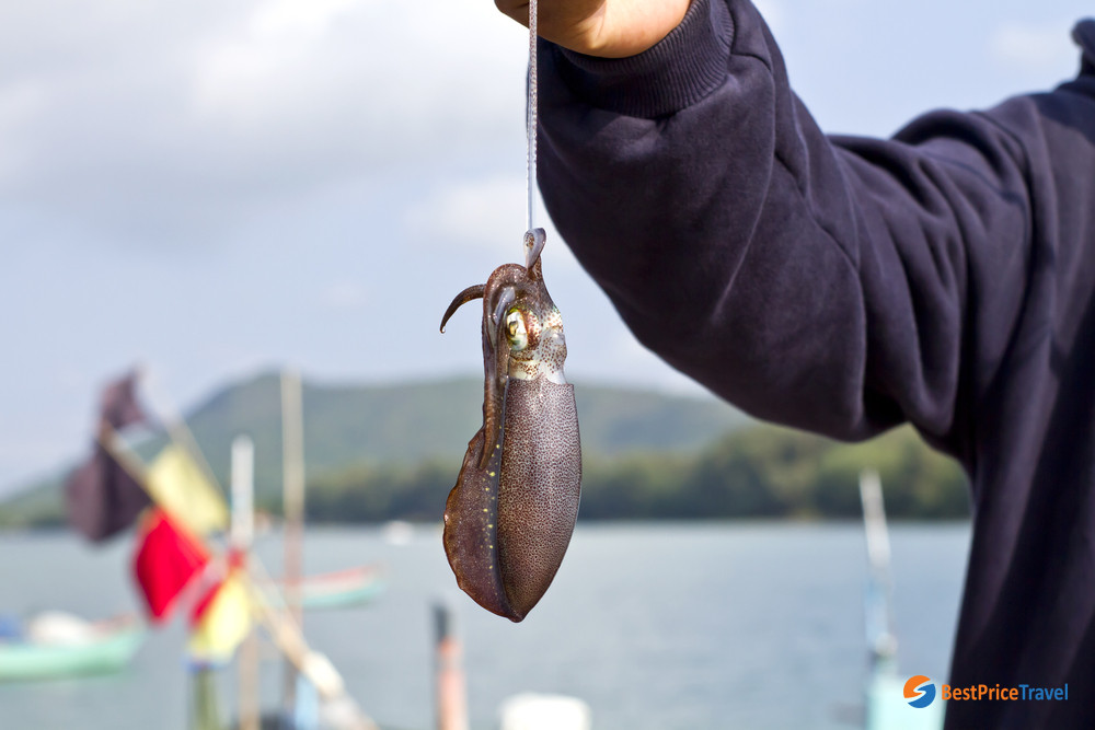 Squid fishing