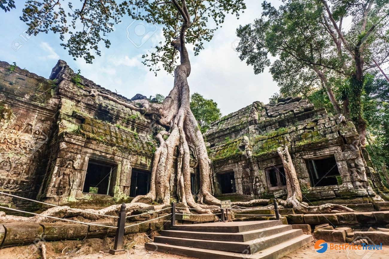 Ta Prohm Temple Angkor Cambodia
