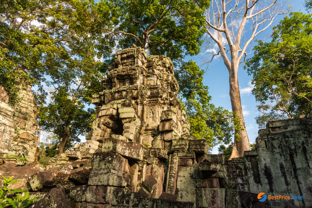 Angkor Archaeology Park