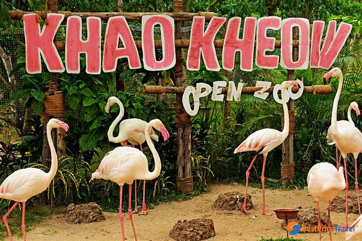Khao Kheow Open Zoo 1