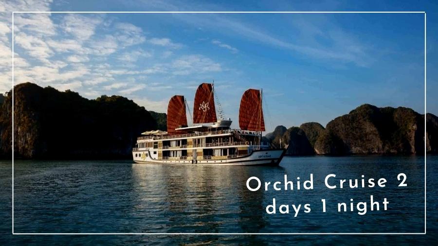 Orchid Cruise 2 Days 1 Night