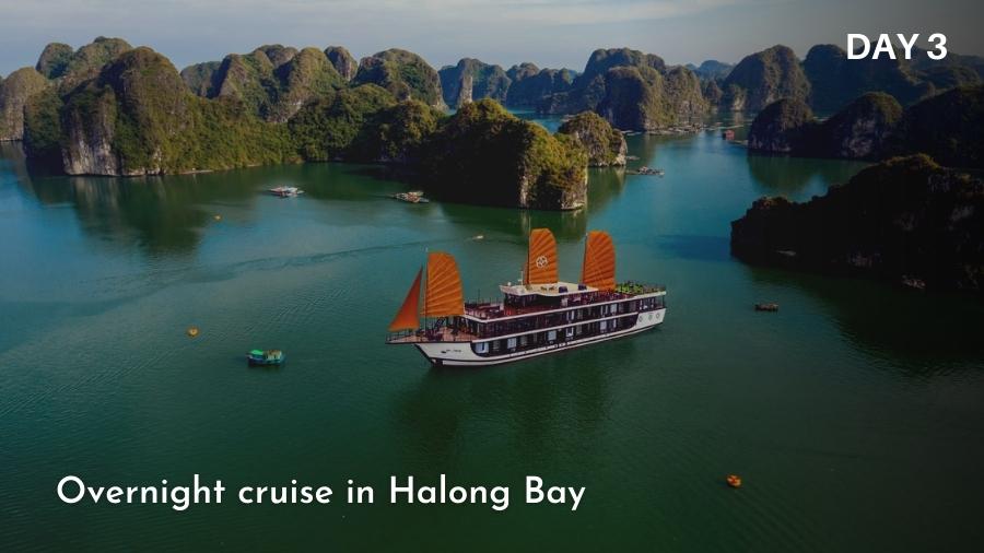Overnight cruise in Halong bay  in Highlight Vietnam 12 days