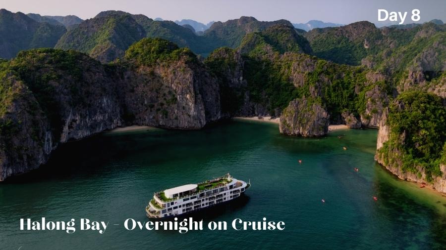 Overnight cruise in Halong Bay