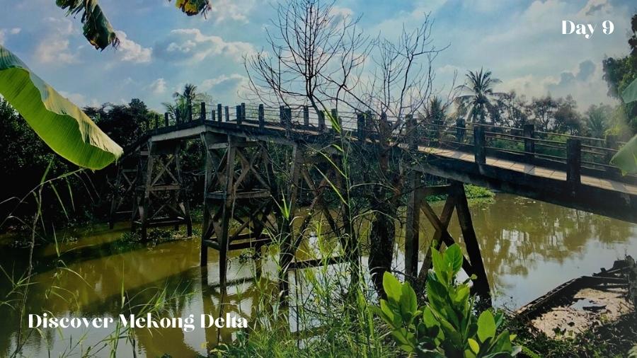 Discover Mekong Delta