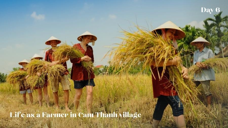 Try to be a farmer in Cam Thanh Village