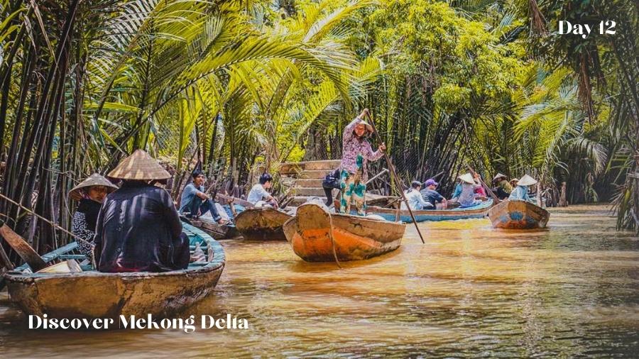 Try a sampan boat with local in Mekong Delta
