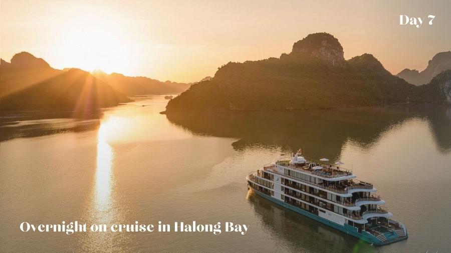 Day 7 Hanoi Halong Bay Overnight On Cruise
