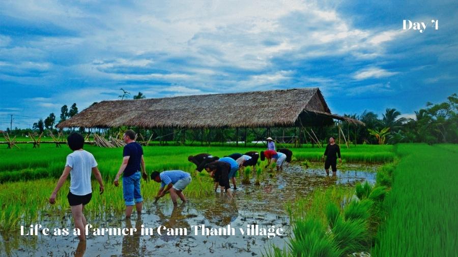 Day 4 Life As A Farmer In Cam Thanh Village