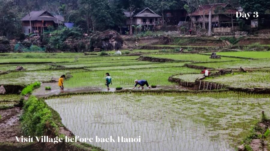 Visit Village Before Back Hanoi