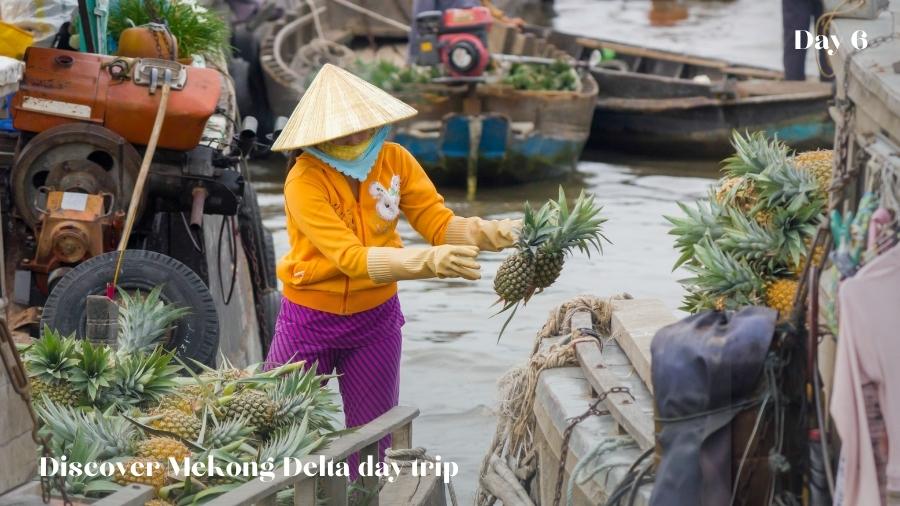 Day 6 Full Day Trip To Mekong Delta