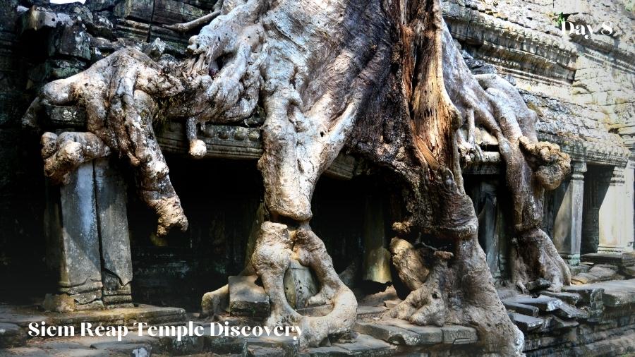 Day 8 Siem Reap Temple Discovery Tour (2)