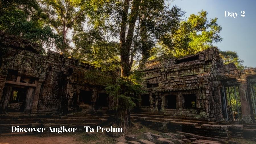 Day 2 Siem Reap – Ta Prohm – Banteay Kdei– Srah Srong Angkor Thom Angkor Wat