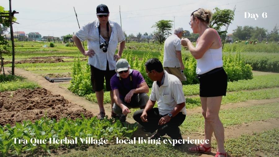 Day 6 Tra Que Herbal Village – Local Living Join Tour (2)