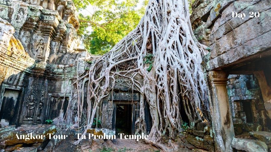 Day 20 Angkor tour Siem Reap