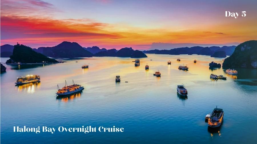 Day 5 Halong Bay Overnight Cruise