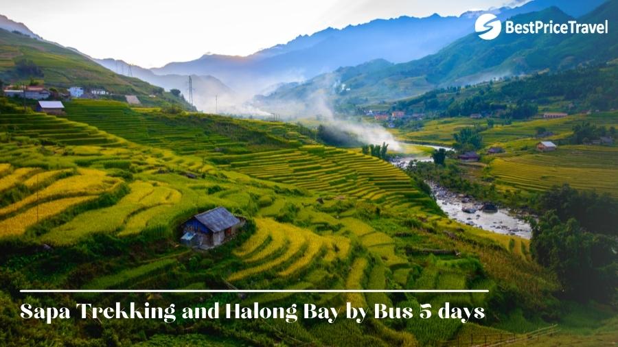 Sapa Trekking And Halong Bay By Bus 5 Days