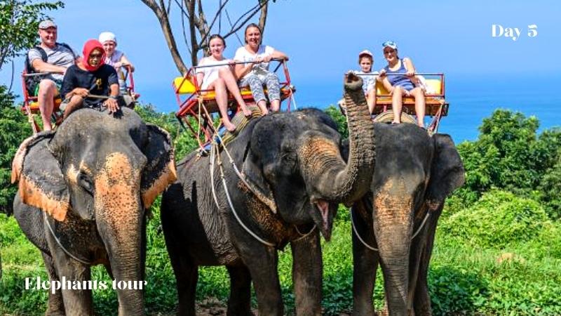 Day 5 Elephants Tour