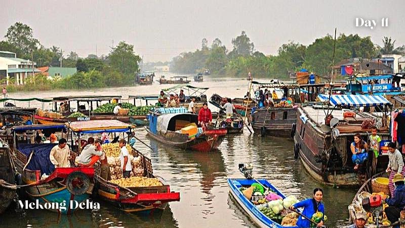 Day 11 Mekong Delta