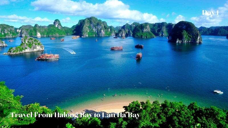 Calypso Cruise 3 Days Halong Bay To Lan Ha Bay