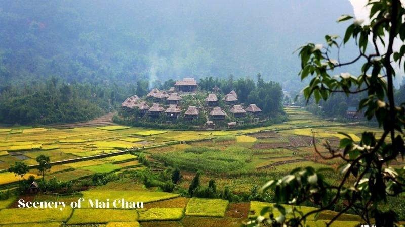 Scenery Of Mai Chau