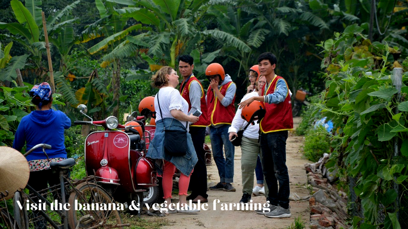 Visit The Banana & Vegetable Farming