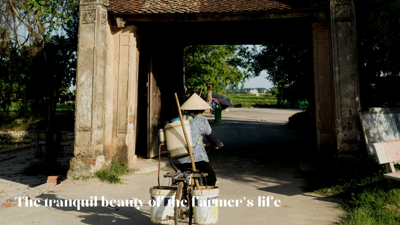 The Tranquil Beauty Of The Farmer's Life