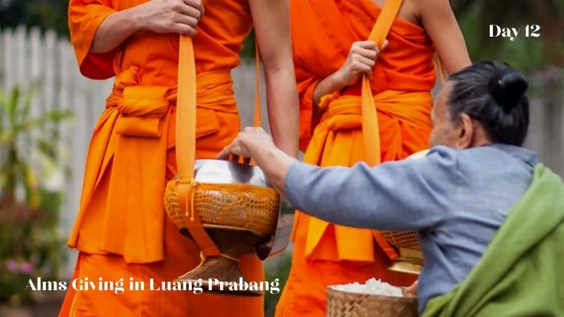 Day 12 Alms Giving In Luang Prabang