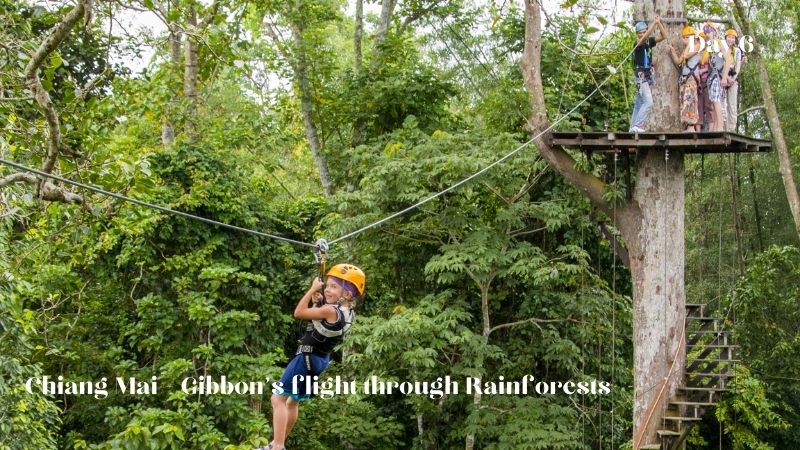 Day 6: Chiang Mai - Gibbon’s Flight through the Rainforests 