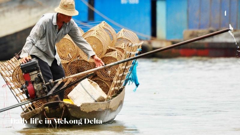 Daily Life In Mekong Delta (2)
