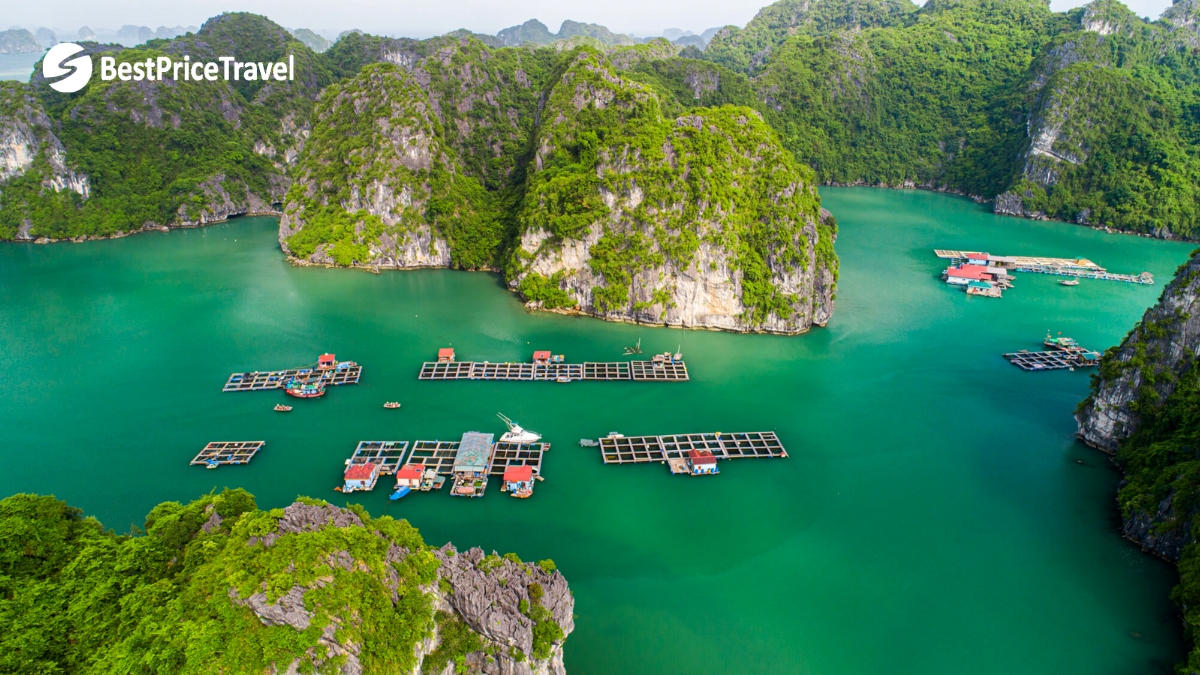 Board A Beautiful Boat For An Overnight Cruise On Halong Bay