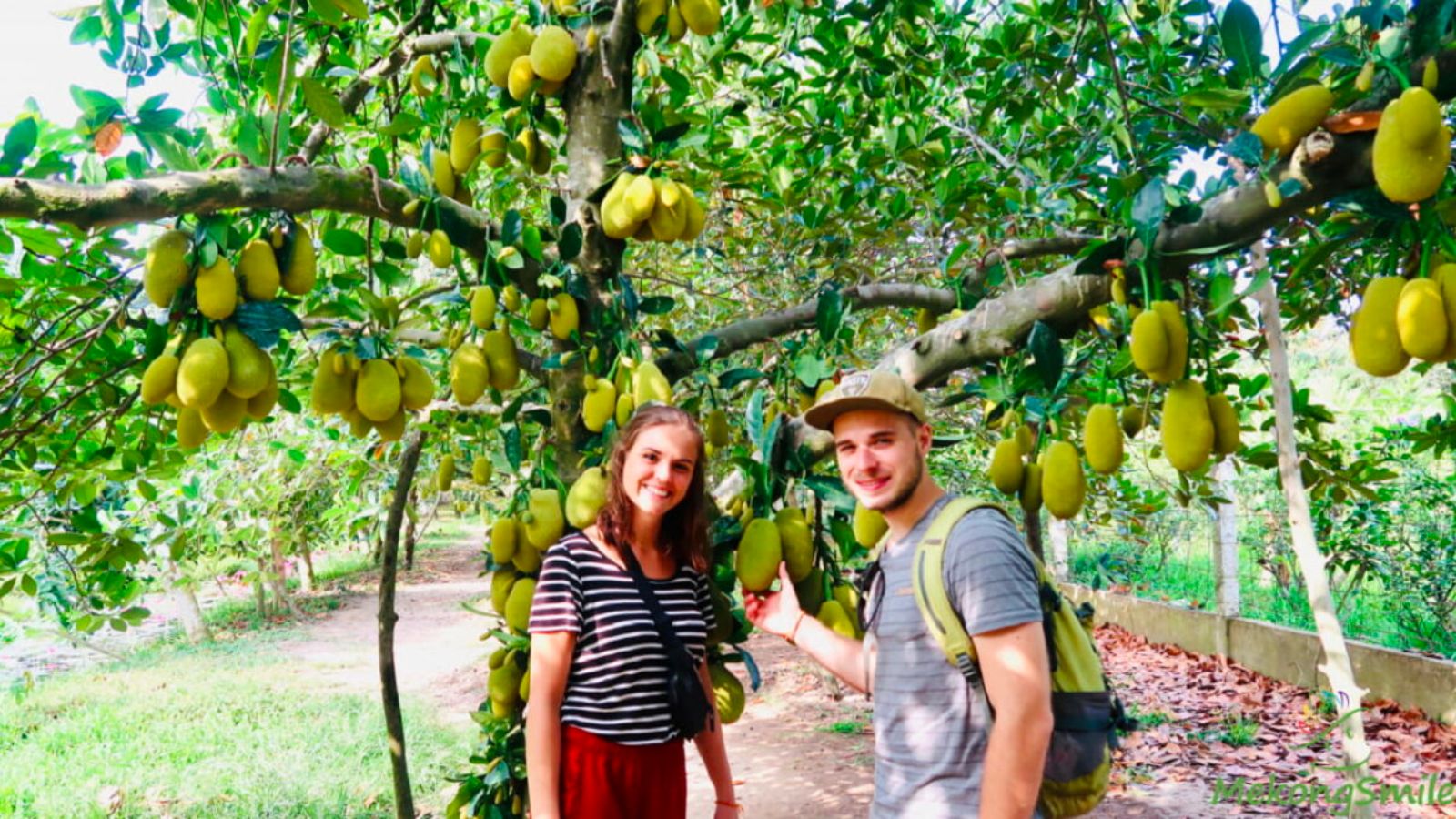 Visiting The Fruit Orchards In Mekong Delta