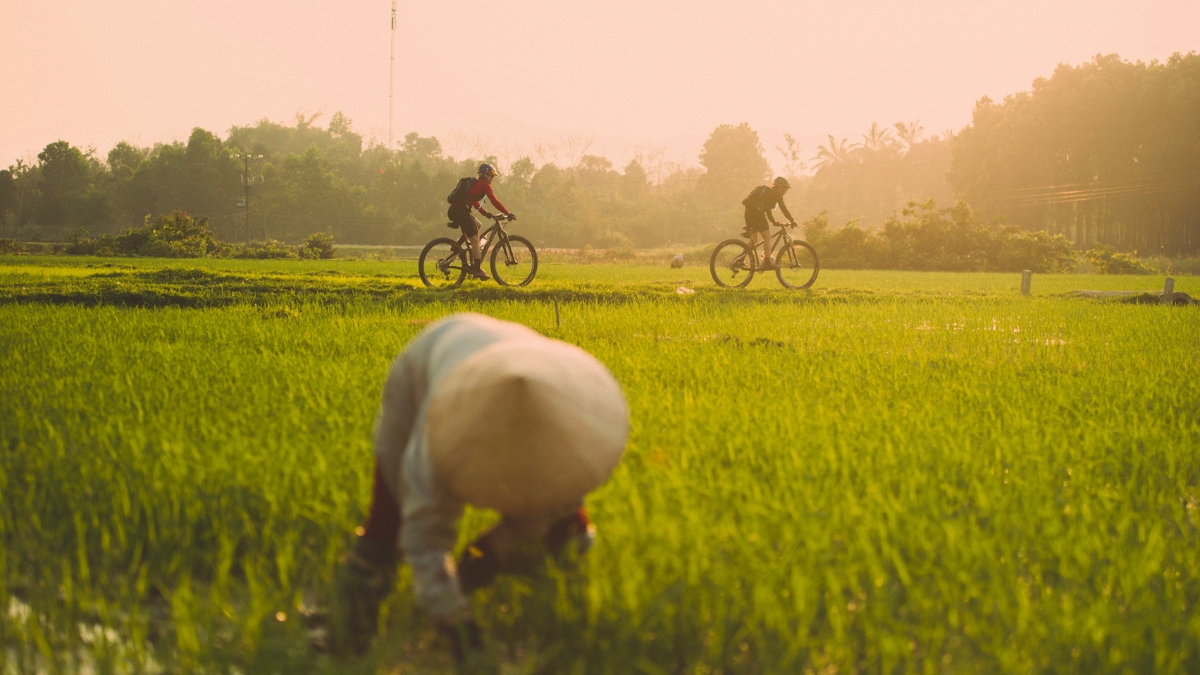 Cycle To The Rice Farming Village