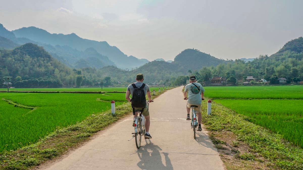 Day 3 Cycle Through Many Green Paddy Fields In Mai Chau