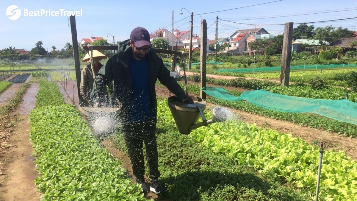 Try To Be A Real Farmer In Cam Thanh Village